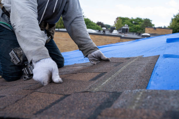 Best Commercial Roofing Services  in Concord, MI