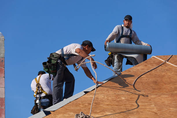 Best Emergency Roof Repair  in Concord, MI