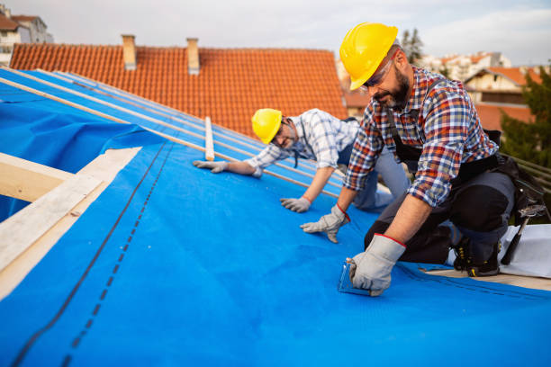Best Best Roofing Contractors  in Concord, MI